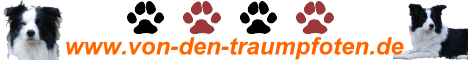 www.von-den-traumpfoten.de