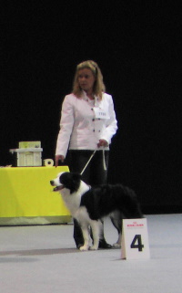 11.03.2007 CACIB Offenburg