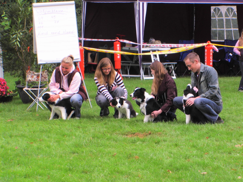 Shiva und Duke in der Puppy Klasse in Heroldsberg