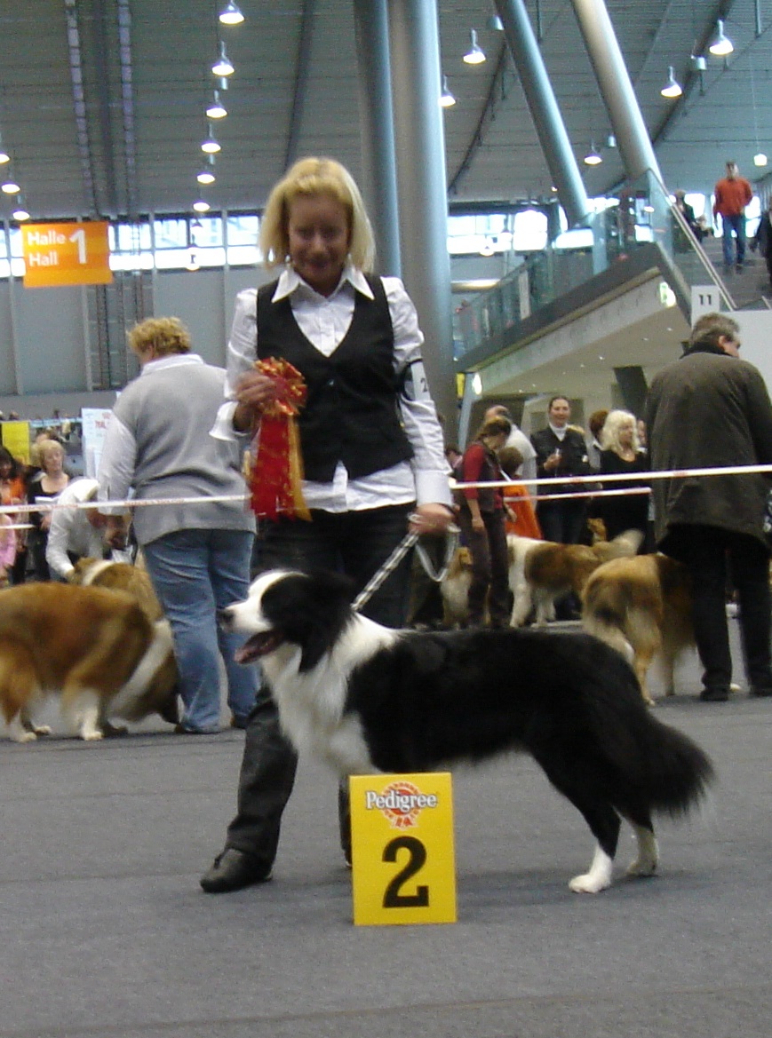 Internationale Rassehundausstellung in Stuttgart am 11.11.2007 - Romeo mit einem tollen V2