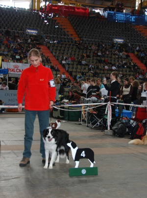 01.03.2008 Borderguard Kosmic Shiva mit einem V4