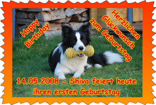 2008 05 14 Shiva feiert ersten Geburtstag