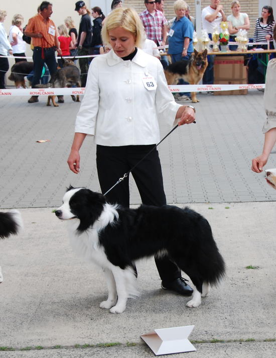 Romeo mit V3 auf der CACIB in Gießen