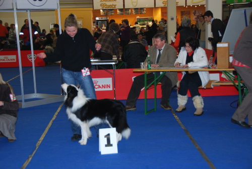 Duke Innsbruck Januar 2009