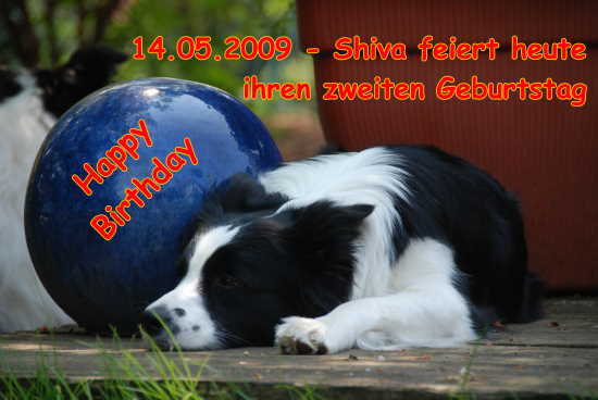 14.05.2009 Borderguard Kosmic Shiva feiert ihren zweiten Geburtstag