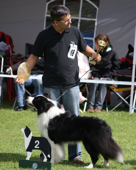 25.07.2009 CAC Großaitingen Romeo Championklasse V2