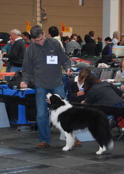 14.11.2009 Nationale Friedrichshafen - Romeo V2