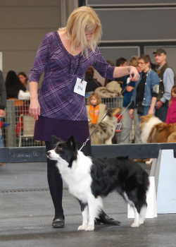 14.11.2009 Nationale Friedrichshafen - Paige V3