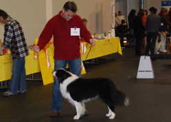 15.11.2009 Internationale Friedrichshafen - Romeo V2