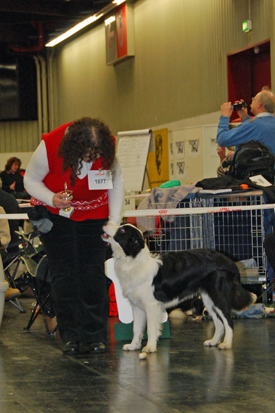 Amigo mit Maritta auf der CACIB in Nürnberg