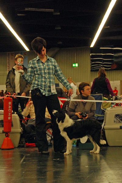 Jacko mit Yvonne auf der CACIB in Nürnberg