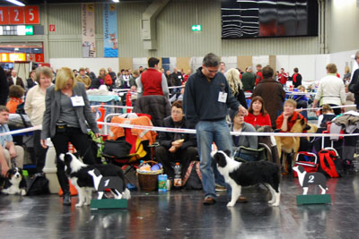 Lara mit Tina und Matthias mit Arusha auf der CACIB in Nürnberg