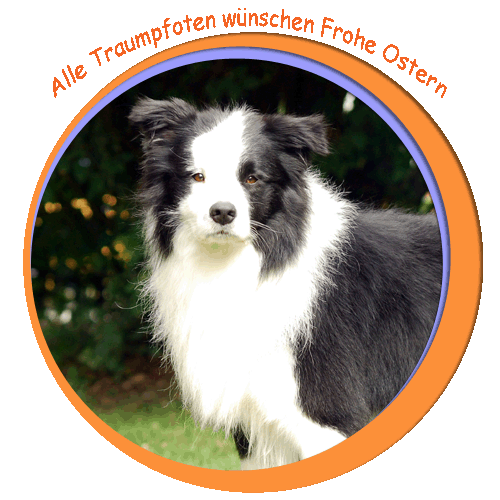 Die Traumpfoten wünschen Frohe Ostern Die Traumpfoten wünschen Frohe Ostern