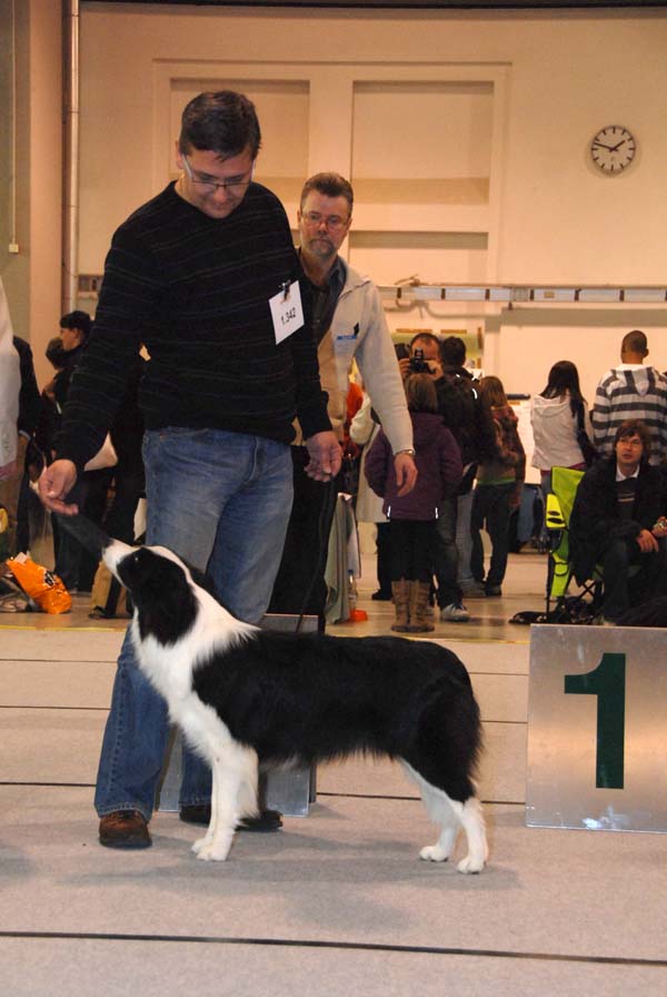 11.04.2010 CACIB Dresden 11.04.2010 CACIB Dresden