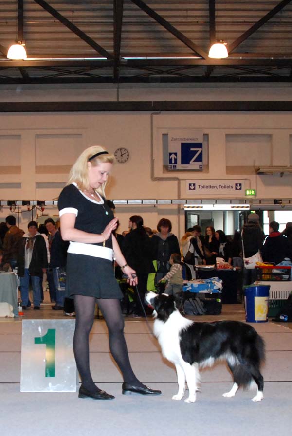 11.04.2010 CACIB Dresden 11.04.2010 CACIB Dresden