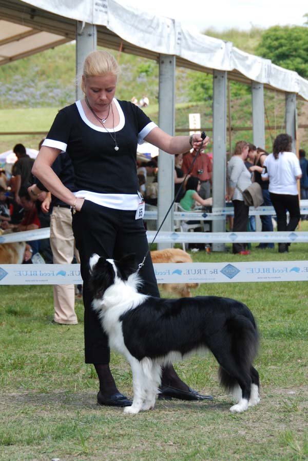 23.05.2010 CACIB Komárom