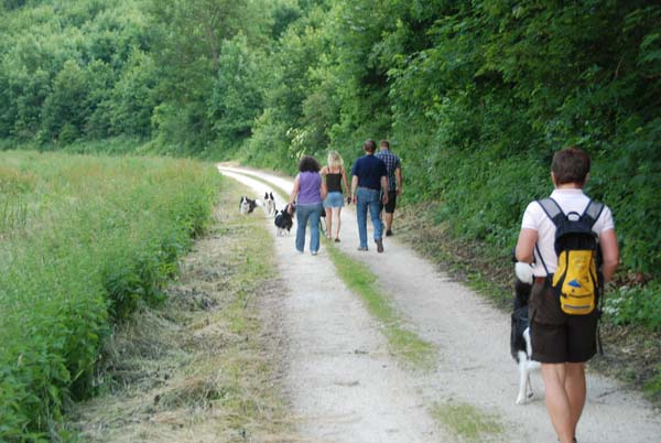 A-Wurf treffen anlässlich des ersten Geburtstages am 26.06.2010