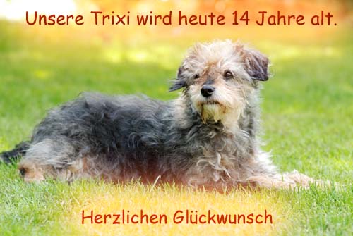 01.03.2011 Trixi wird 14 Jahre alt 01.03.2011 Trixi wird 14 Jahre alt