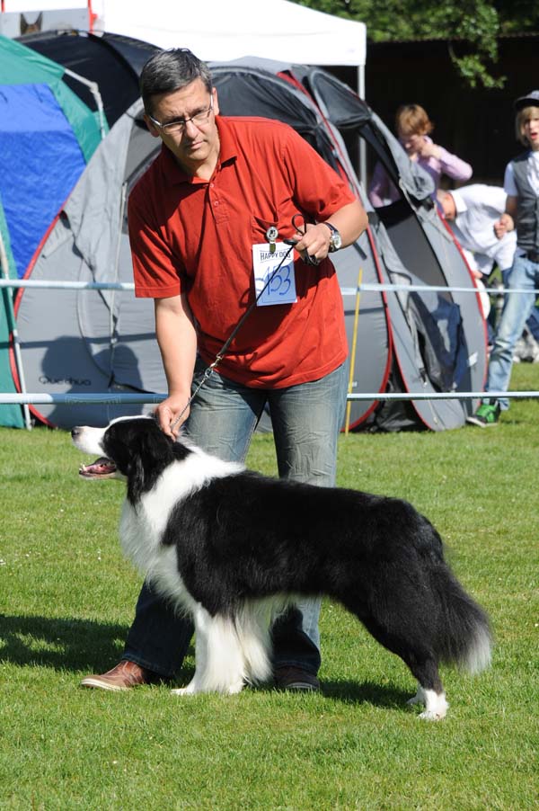 07.+08.05.2011 CACIB Maribor - Romeo