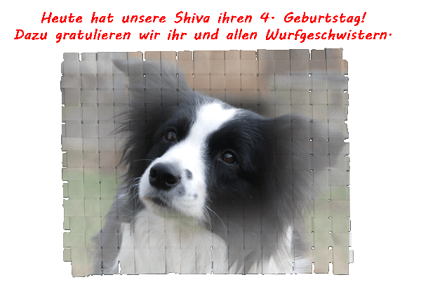14.05.2011 Shiva hat 4. Geburtstag