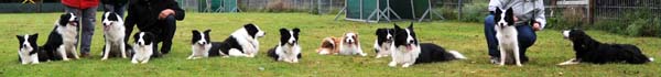 2011_08_27_traumpfotentreffen_langenau_109_dsc_9956_b.jpg