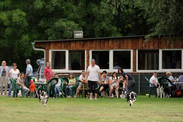 11.08.2012 Traumpfotentag - Das Rennen :-)