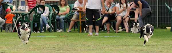 11.08.2012 Traumpfotentag - Das Rennen :-)