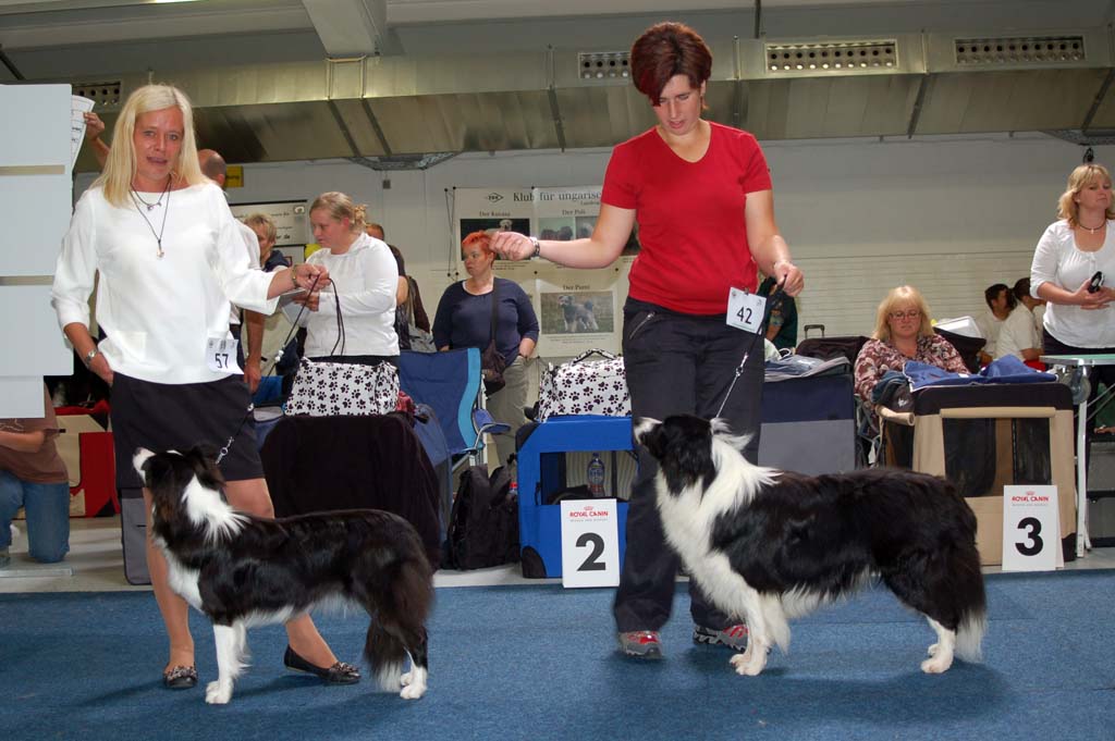 CACIB Giessen Sydney und Jacko CACIB Giessen Sydney und Jacko