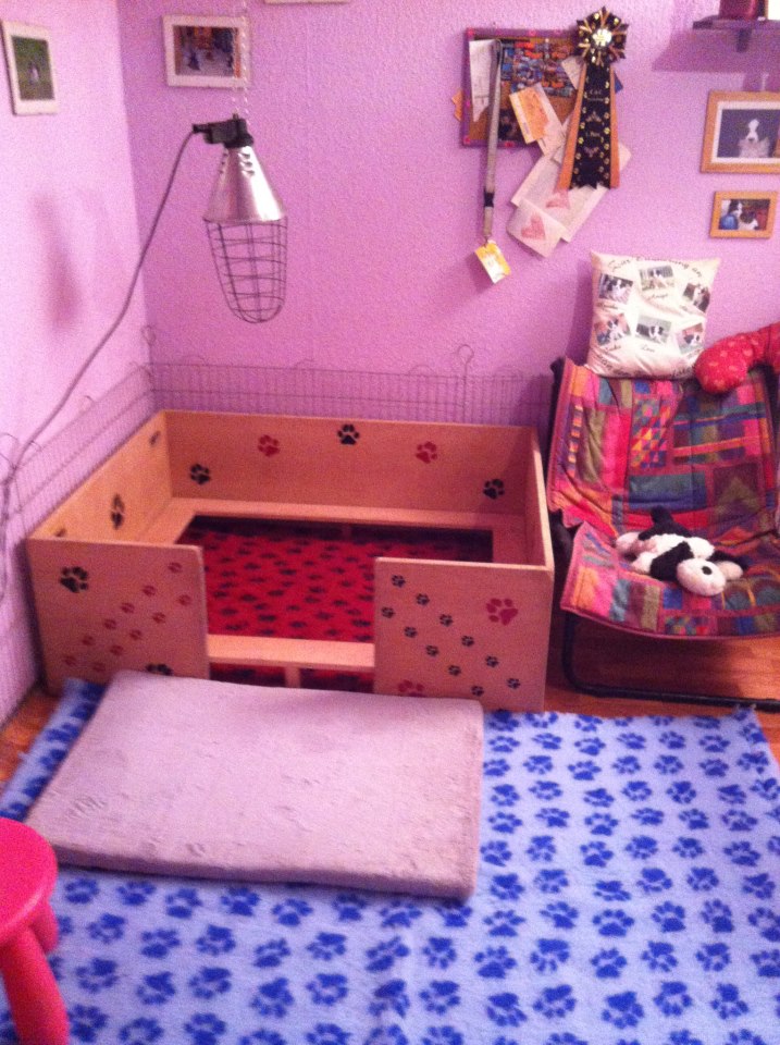 Unser Welpenzimmer ist fertig :-) Unser Welpenzimmer ist fertig :-)