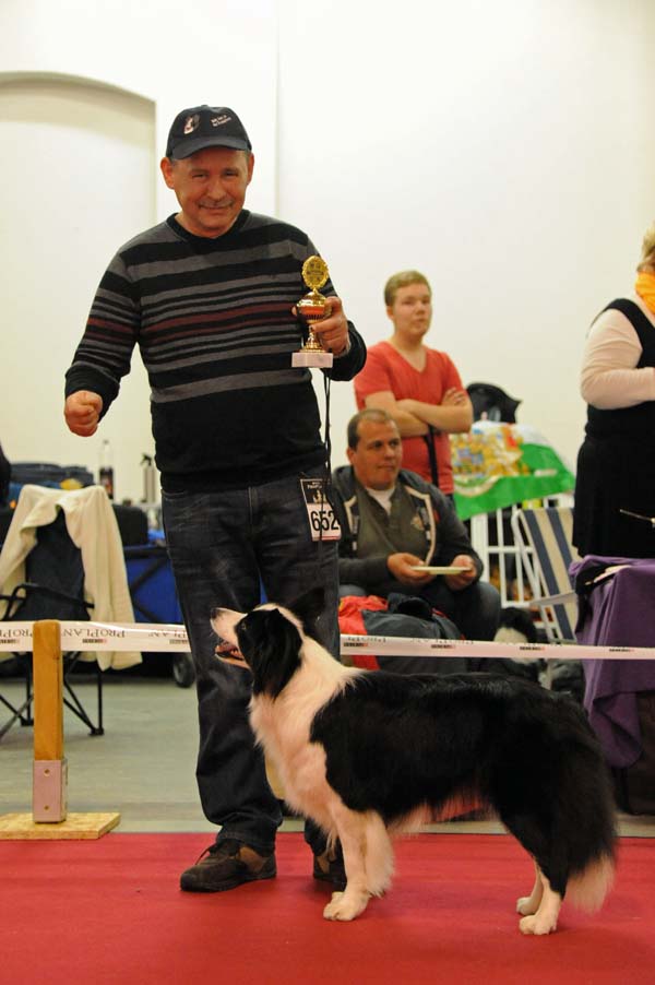 CACIB Dresden Lotte mit Detlef in der Offenen Klasse CACIB Dresden Lotte mit Detlef in der Offenen Klasse