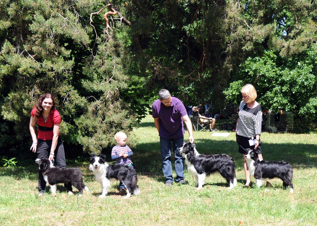 18.05.2013 Traumpfoten in Gödöllö