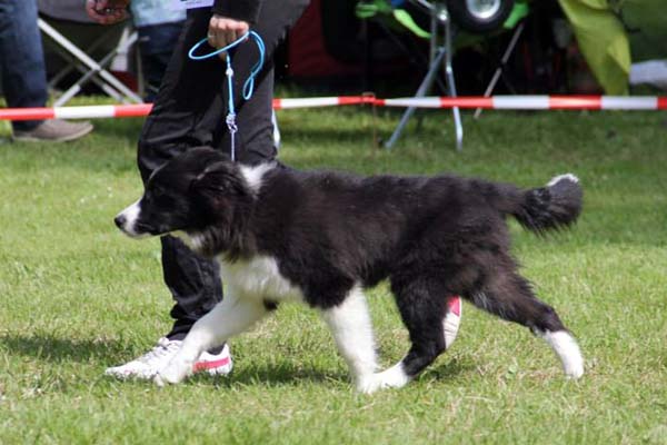 02.06.2013 Kiowa in der Babyklasse