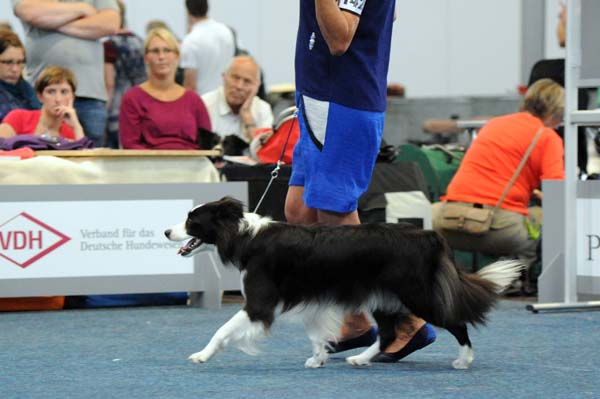 2013 08 24 Internationale Leipzig DSC 3488