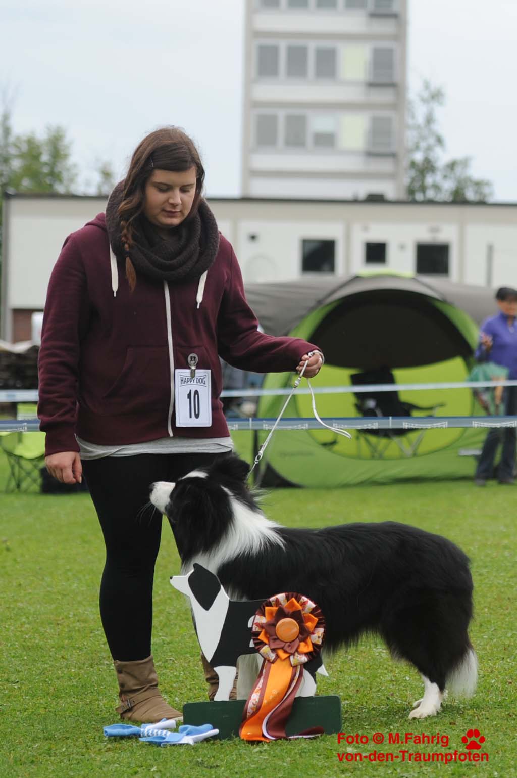 2013 09 15 Clubsieger Kaufbeuren Border Collie DSC 3825b1024x