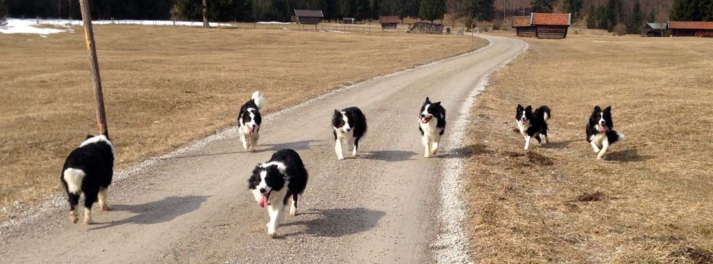 01.03.2014 Spaziergang in Farchant