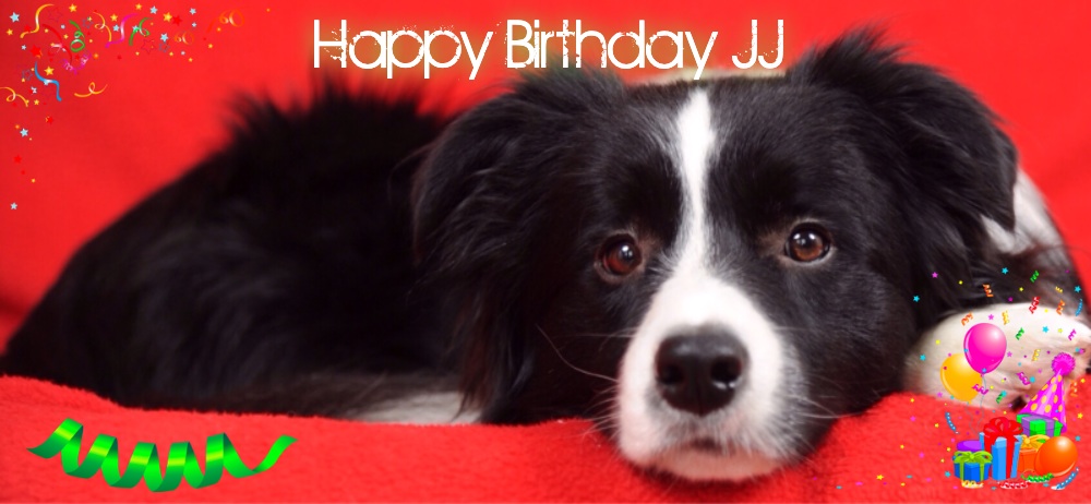 Herzlichen Glückwunsch zum 2. Geburtstag JJ