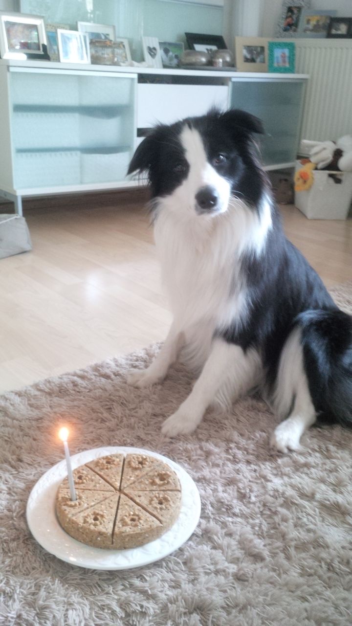2014 06 19 Luna 1 Geburtstag