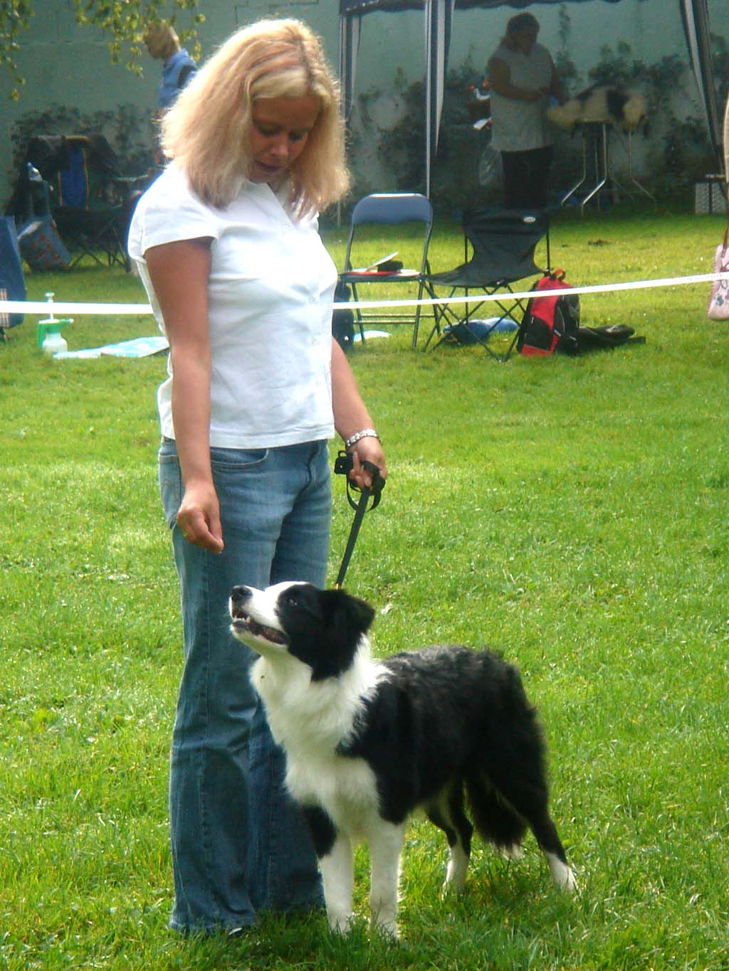 Romeo 16.06.2006 Clubschau in Dachau