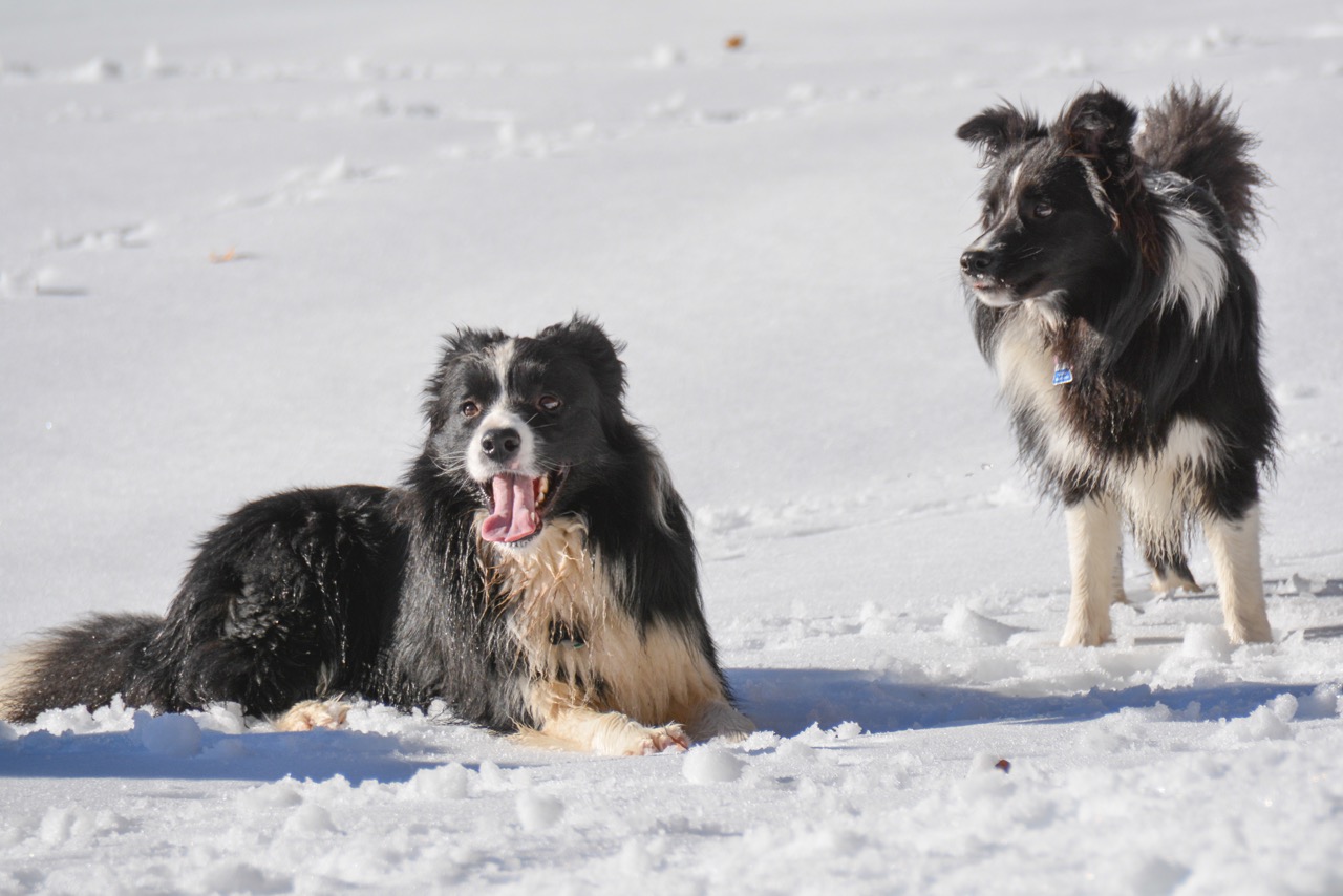 2015 03 07 Spaziergang Ettal DSC 2307