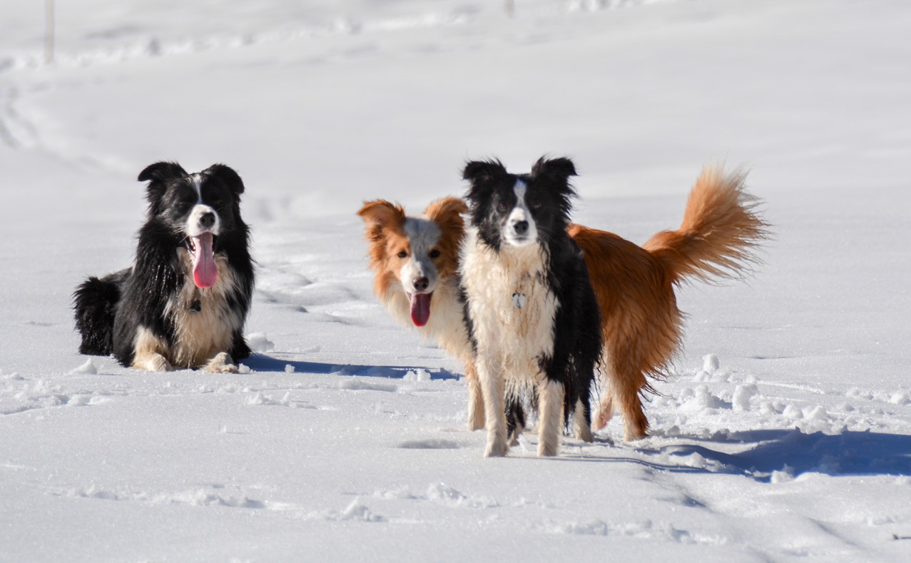 2015 03 07 Spaziergang Ettal DSC 2328