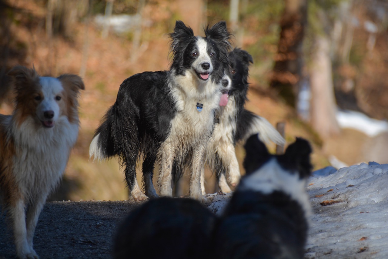 2015 03 07 Spaziergang Ettal DSC 2437