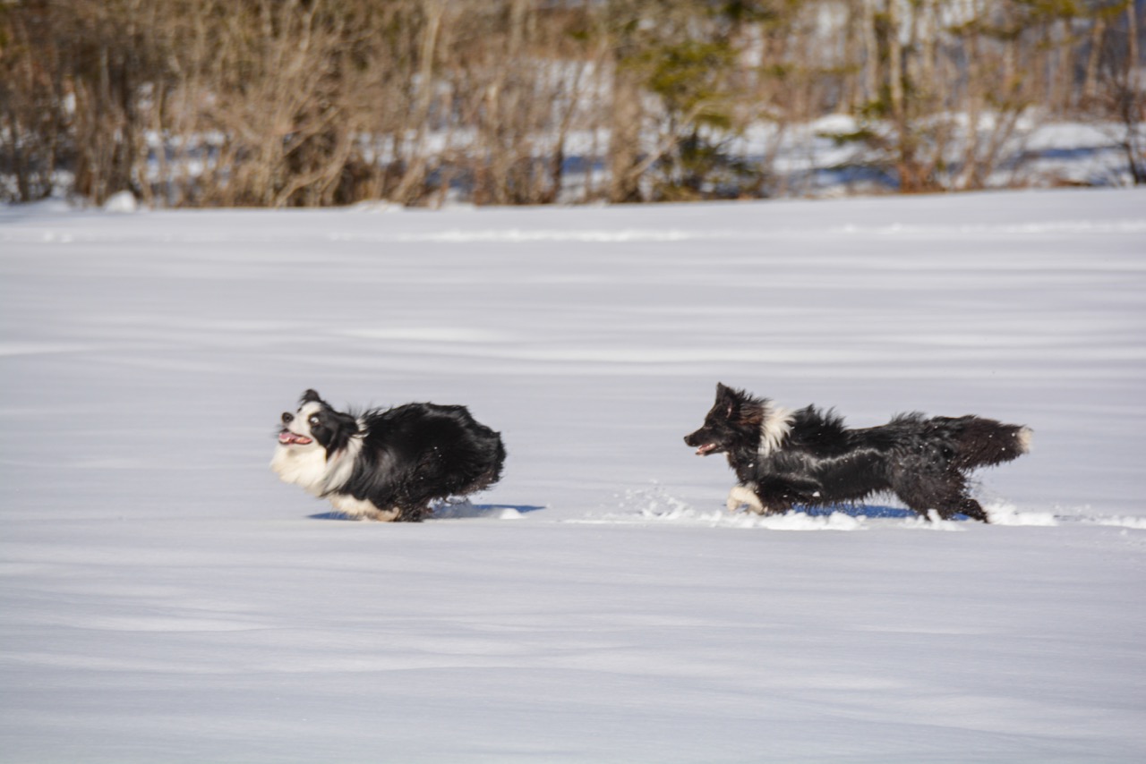 2015 03 07 Spaziergang Ettal DSC 2459