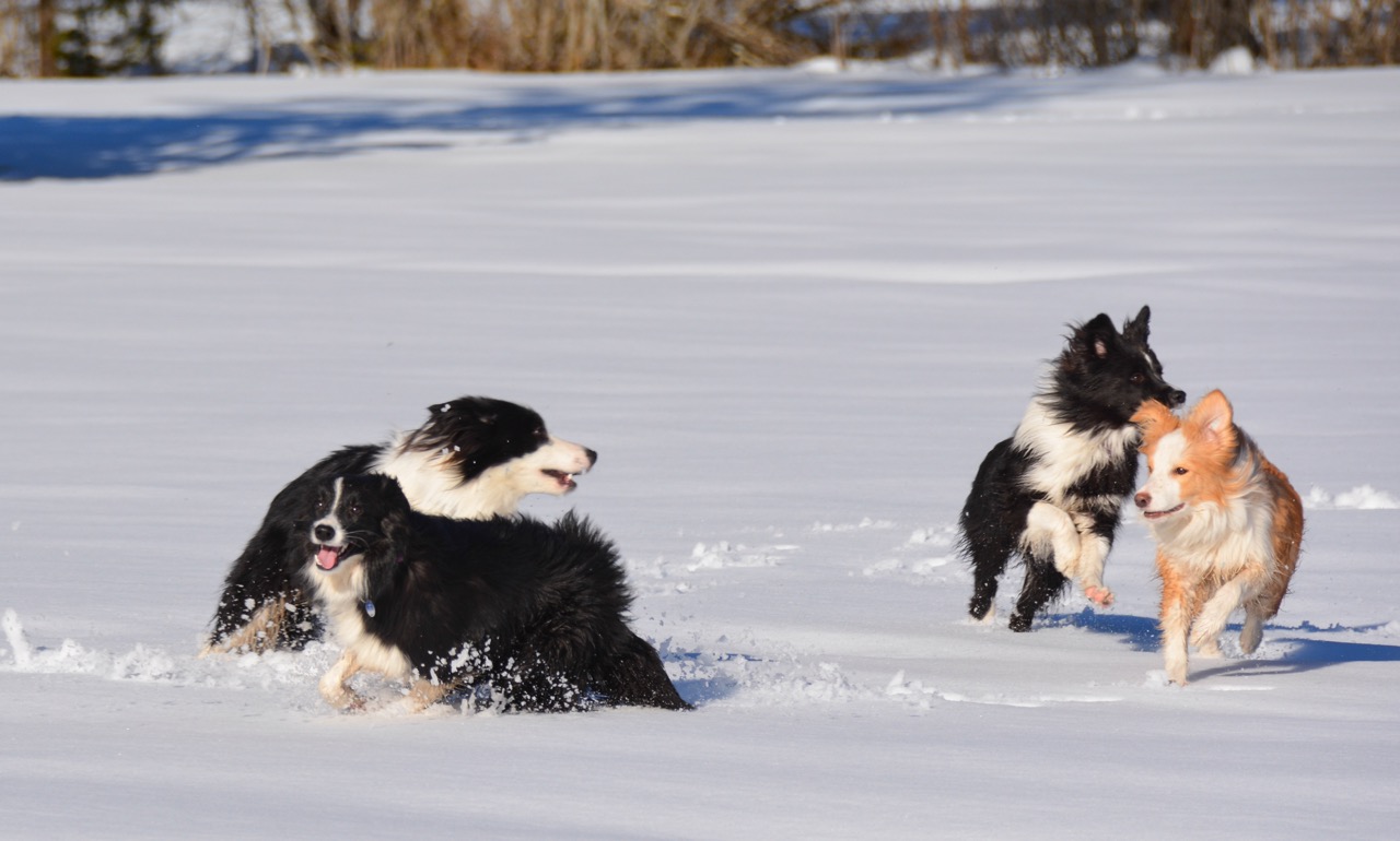 2015 03 07 Spaziergang Ettal DSC 2472