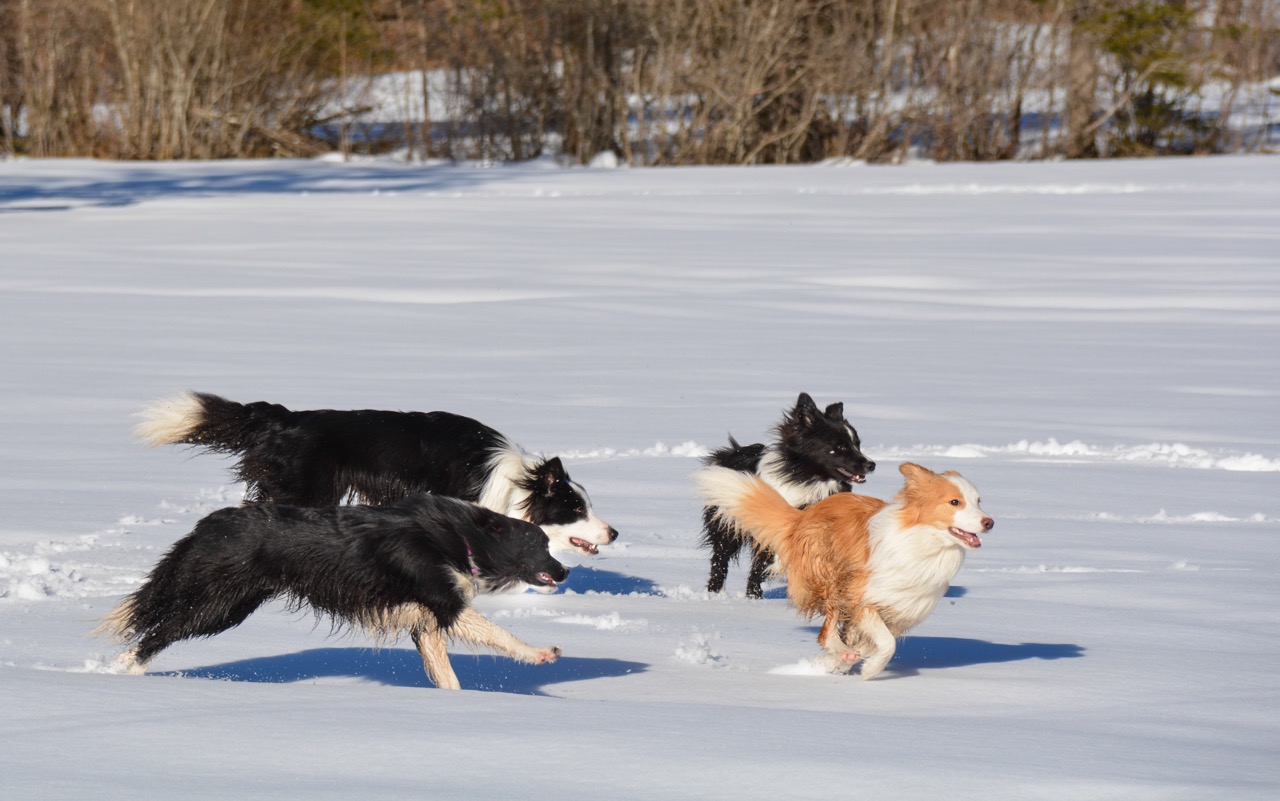 2015 03 07 Spaziergang Ettal DSC 2477