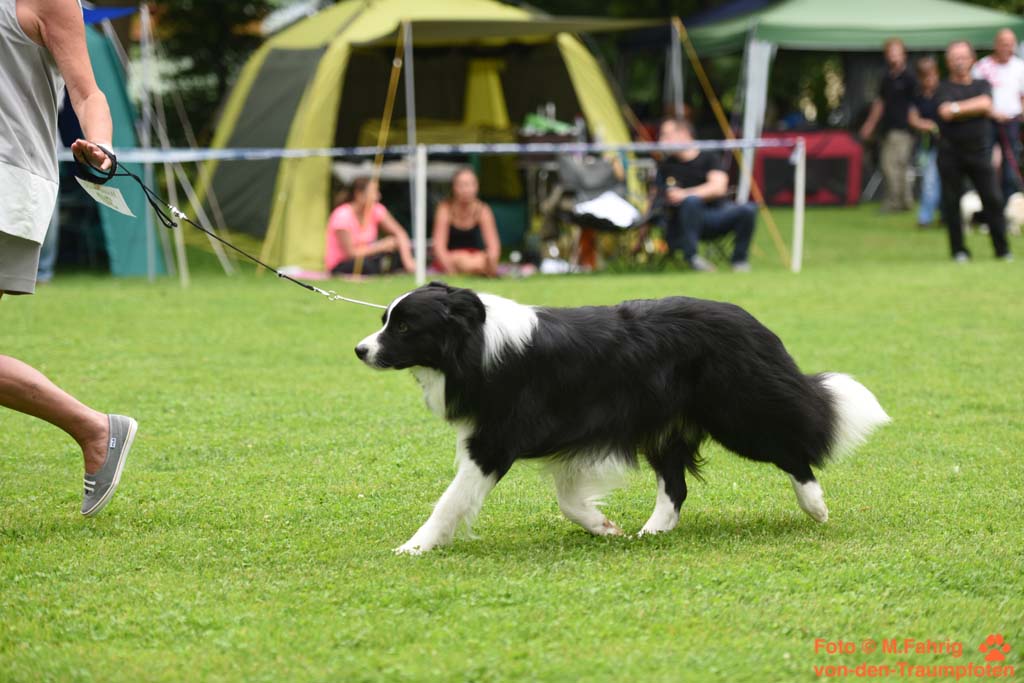 2015 06 13 CAC Dachau DSC 2088 b