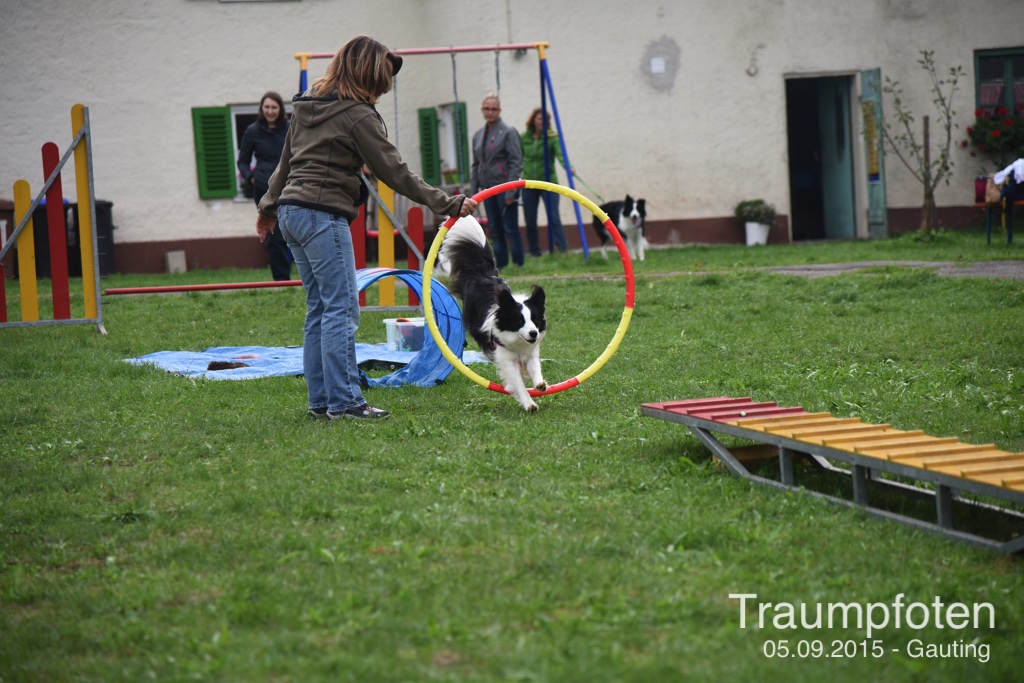 2015 09 05 Traumpfotentreffen bei Kerstin in Gauting DSC 2749