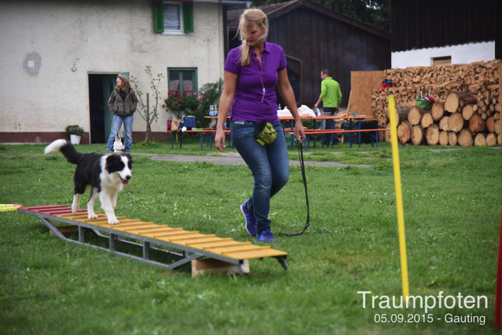 2015 09 05 Traumpfotentreffen bei Kerstin in Gauting DSC 2761