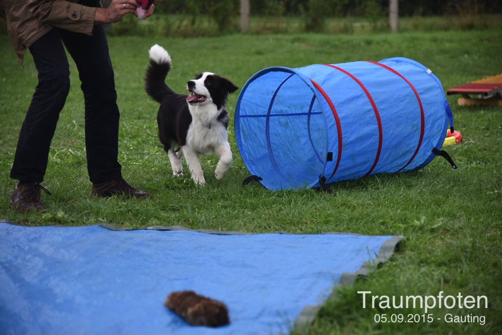 2015 09 05 Traumpfotentreffen bei Kerstin in Gauting DSC 2813