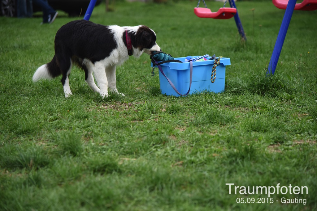 2015 09 05 Traumpfotentreffen bei Kerstin in Gauting DSC 2857