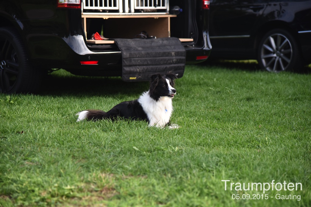 2015 09 05 Traumpfotentreffen bei Kerstin in Gauting DSC 2872